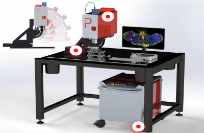 多光子顯微鏡 MPX系列